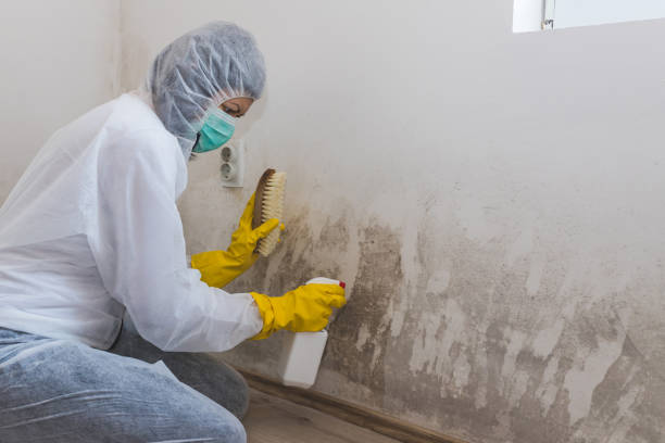 Best Comprehensive Air Testing for Mold Contaminants  in Ridgefield Park, NJ