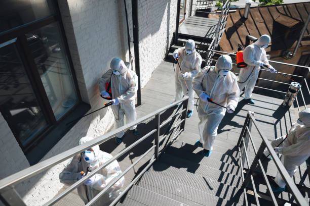 Best Dehumidification Services  in Ridgefield Park, NJ
