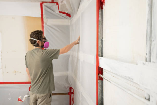 Best Mold Remediation for Healthcare Facilities  in Ridgefield Park, NJ