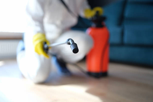 Best Indoor Air Quality Assessment  in Ridgefield Park, NJ