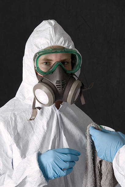 Best Mold Odor Removal Services  in Ridgefield Park, NJ